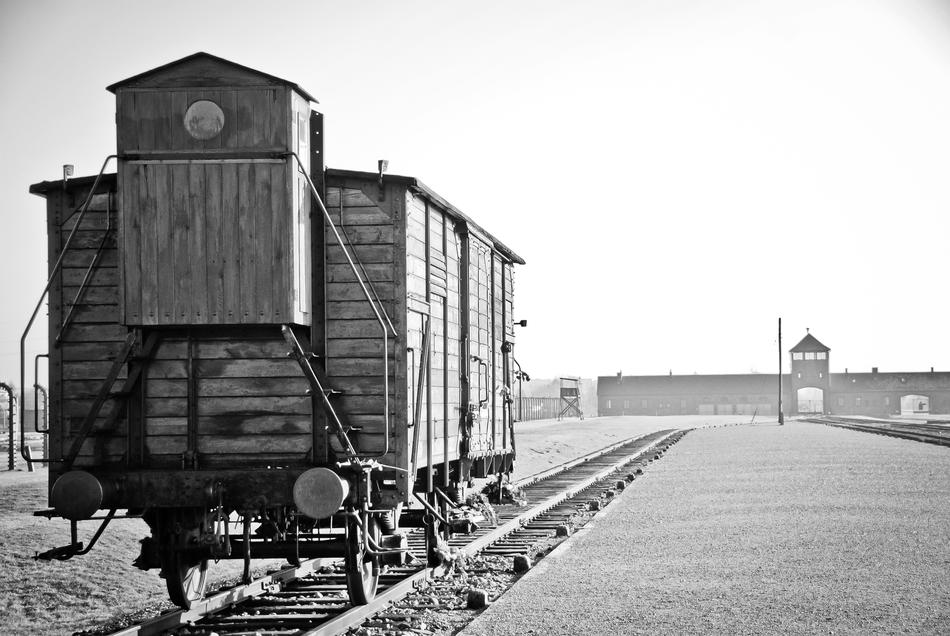 Auschwitz Birkenau War
