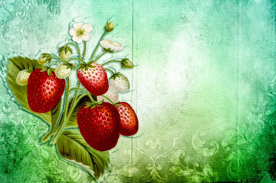 vintage romantic background with strawberry