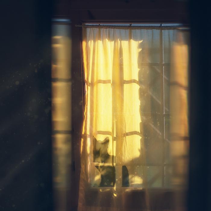 Bed Room Window