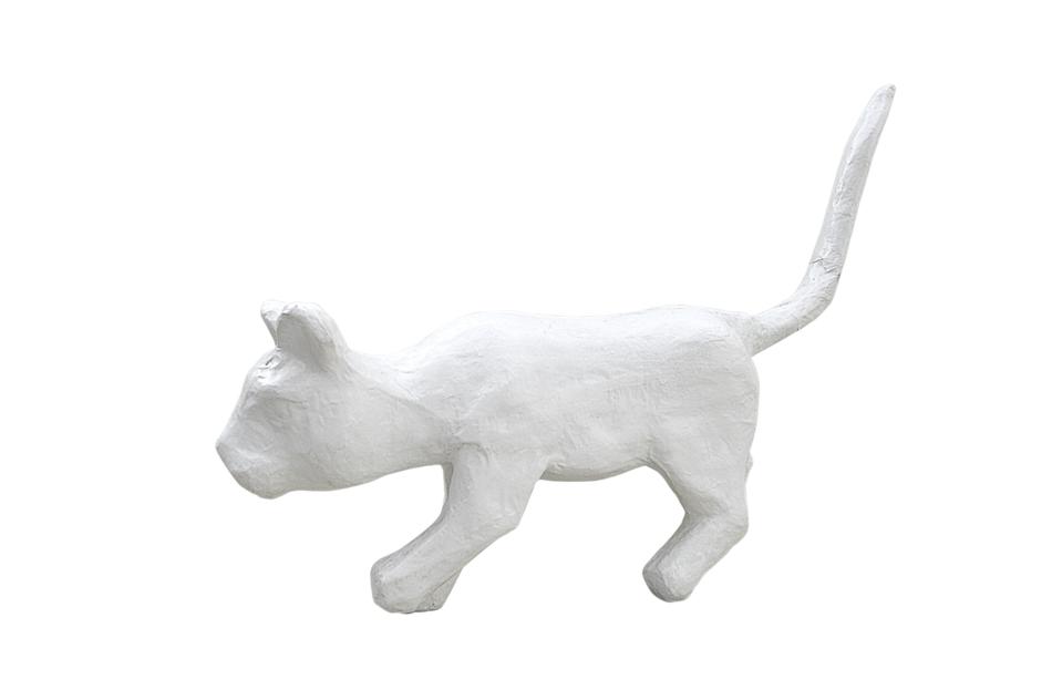 Png White Cat