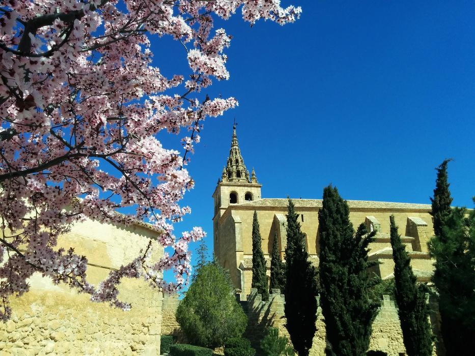 Church Flowers Spring