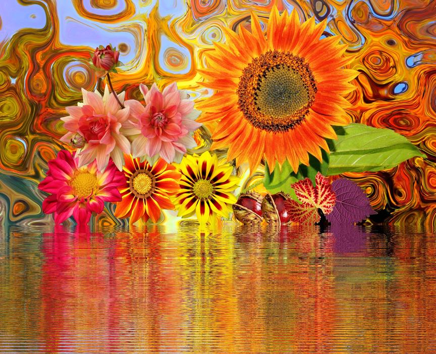 Orange flowers are beautiful in the water