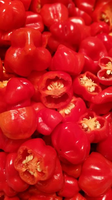 background of red bell peppers