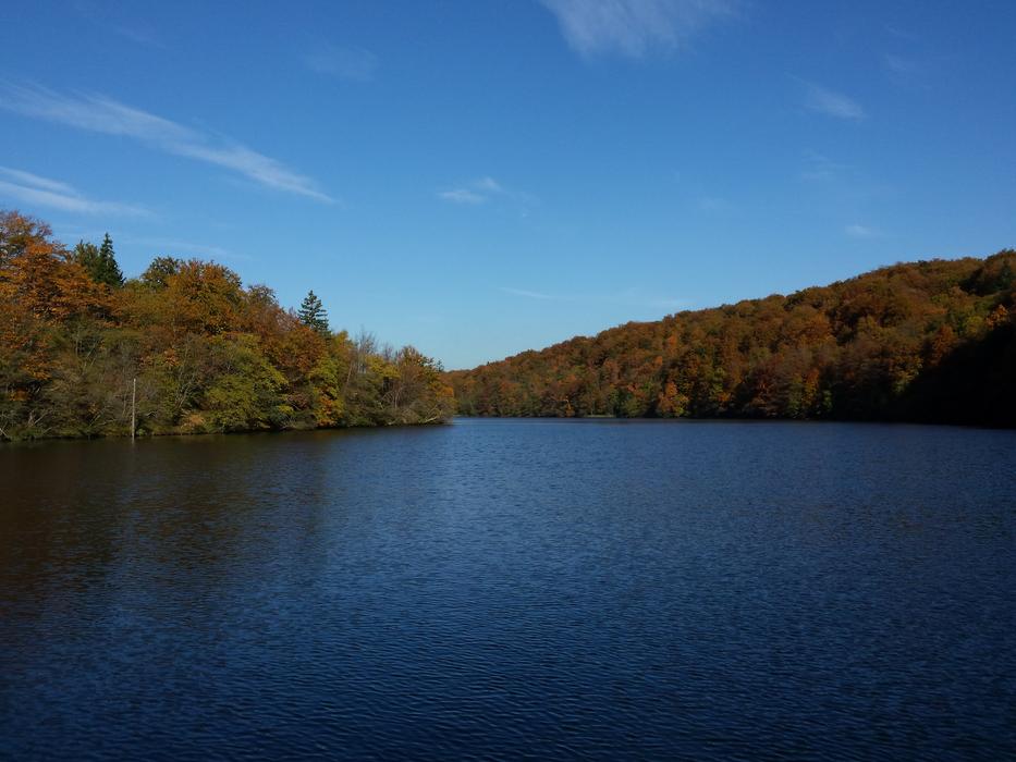 Nature Holidays