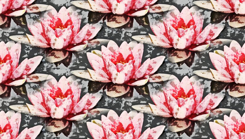 Water Lily Background Pattern