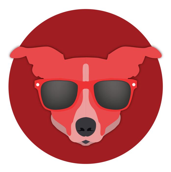 dog cute colored