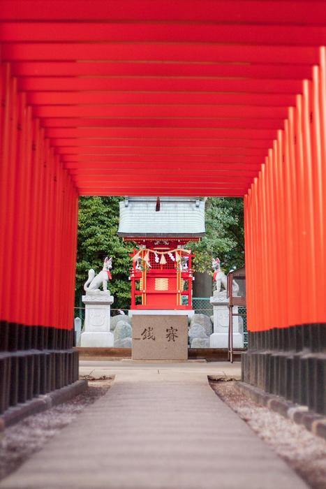 red background gate