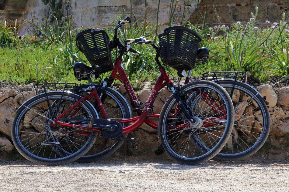 Bikes Push Two
