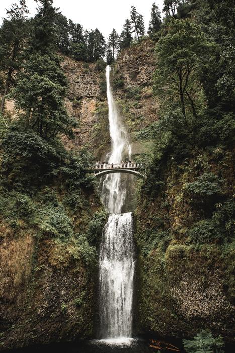 long waterfall in the trees