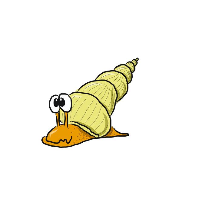 snail gastropode animal