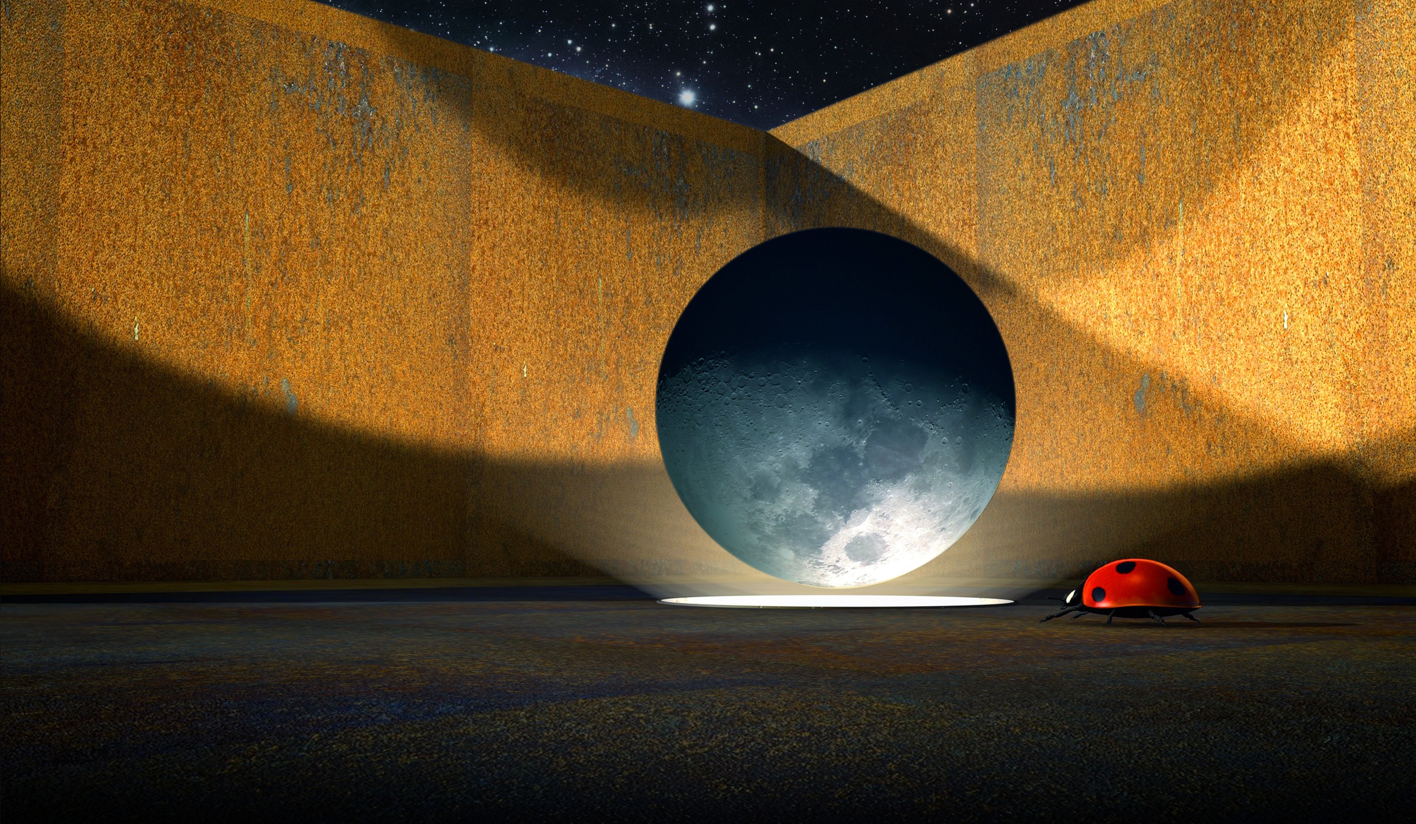 Lady Bug Ladybug Light free image download