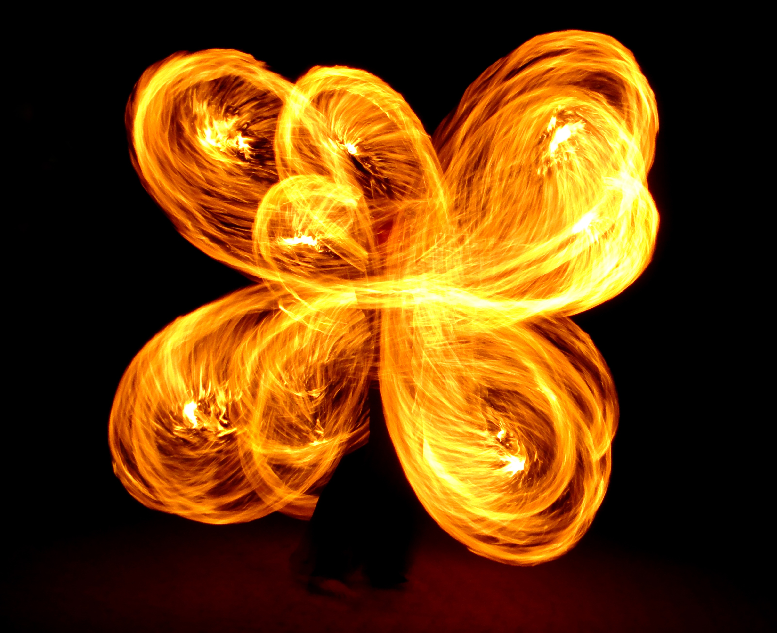 Fire Flower Flame free image download