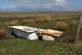 Amrum North Sea Bird Bath Sheep