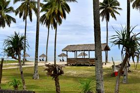 Malaysia Holiday Travel