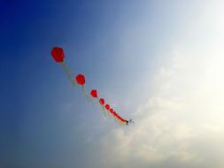 photo of a row of red kites in the sky