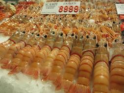 raw shrimp on sale