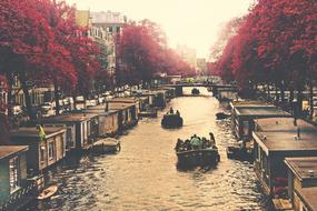 Canal River Water and red trees