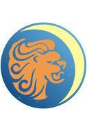 lion zodiac sign zodiac moon star