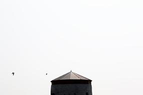 roof and White Sky Birds