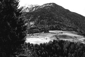 Landscape Forest Farm