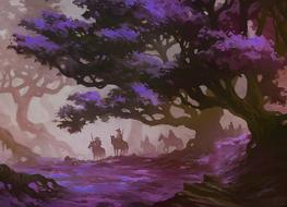 magic wood forest tree light