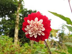 Landscape Nature Ulloa