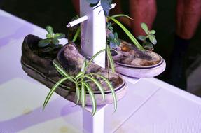 flower pots in the form of sneakers