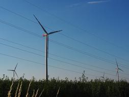windmill with grass