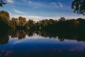 Lake Water Trees