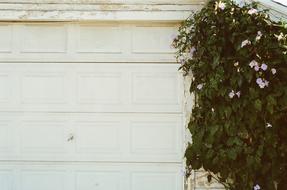 Garage Door White