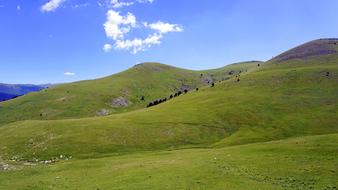 Meadows Mountain Green