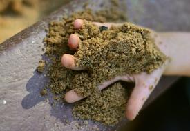 Sand on Childs Hand at Playground