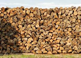 brown Wood Heap Stacked