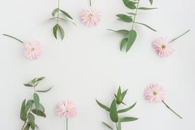 pink green Flowers Background