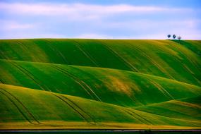 Czech Republic Landscape Field