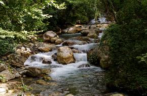 Orsomarso Calabria Torrent in forest