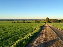 Summer Southern Sweden Bill Holm