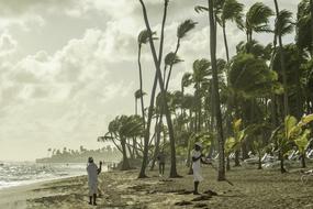 Dominicana Punta Cana