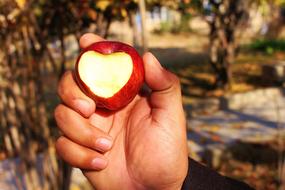 an apple with a heart in your hand