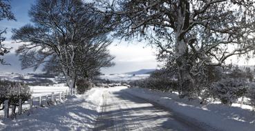 Snow Landscape Rothbury