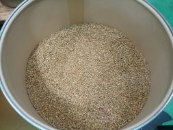 grain in a bucket