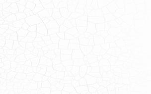 White cracked Background