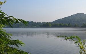the lake is beautiful against the background of bushes