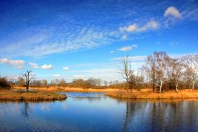 landscape of Lake bank in nature