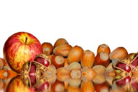 Autumn Chestnut Apple