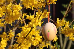 egg with a painting on a tree