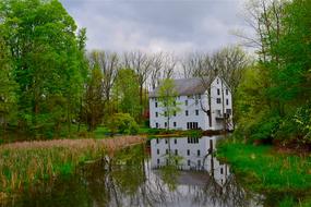 House Water Trees