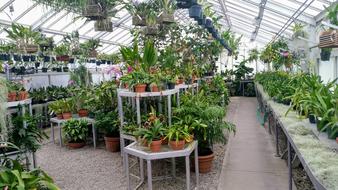 Greenhouse Indoor view
