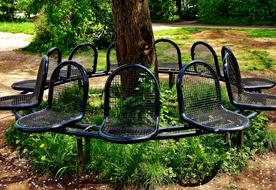 chairs near the tree