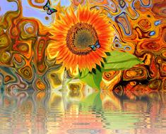 Sunflower Summer Late